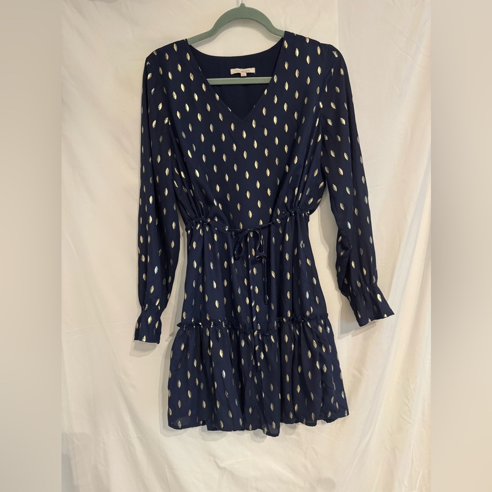 Cute Navy and Gold Long Sleeve Dress